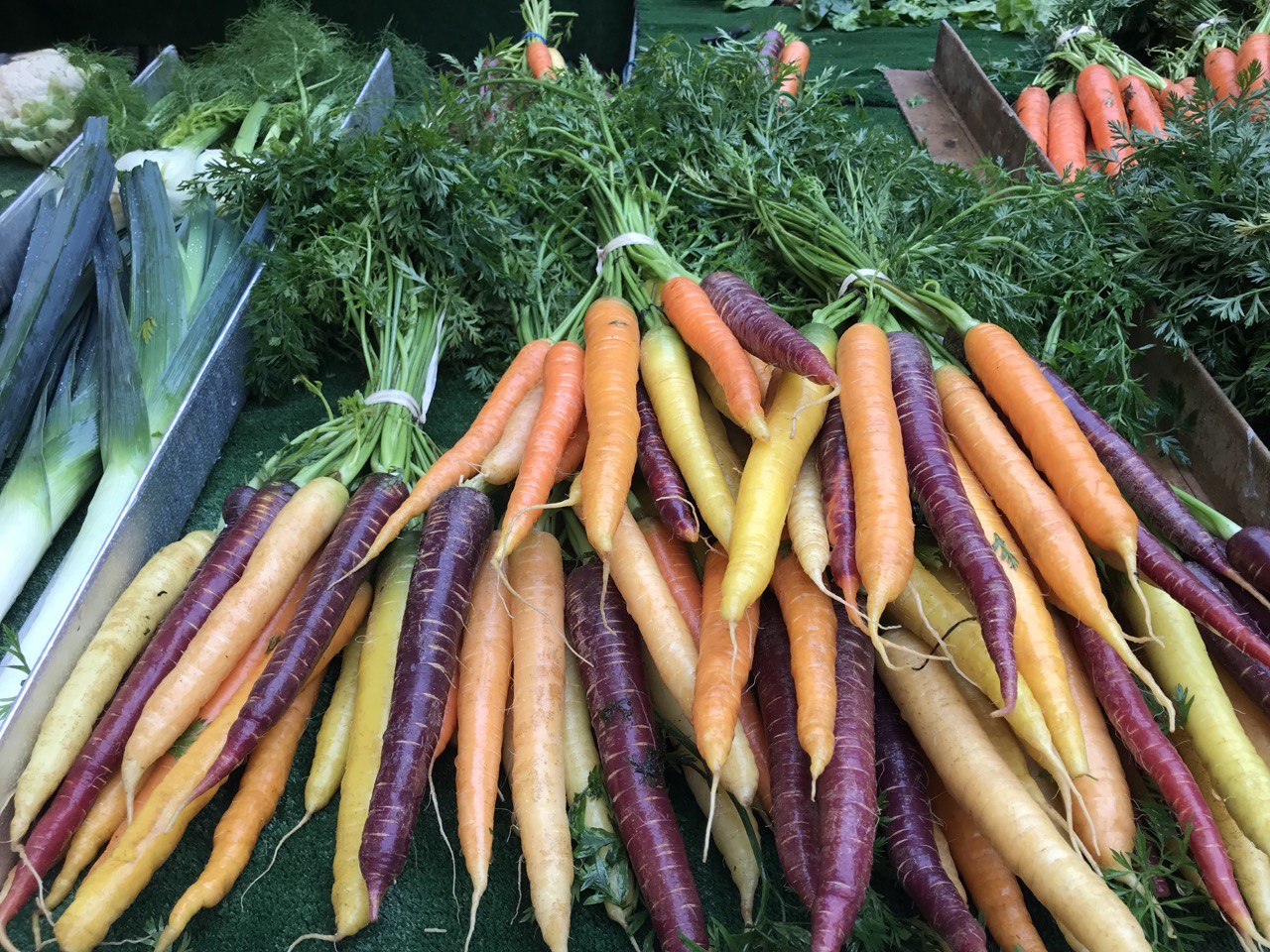 Zanahorias ecológicas para apoyar a la gastronomía sostenible