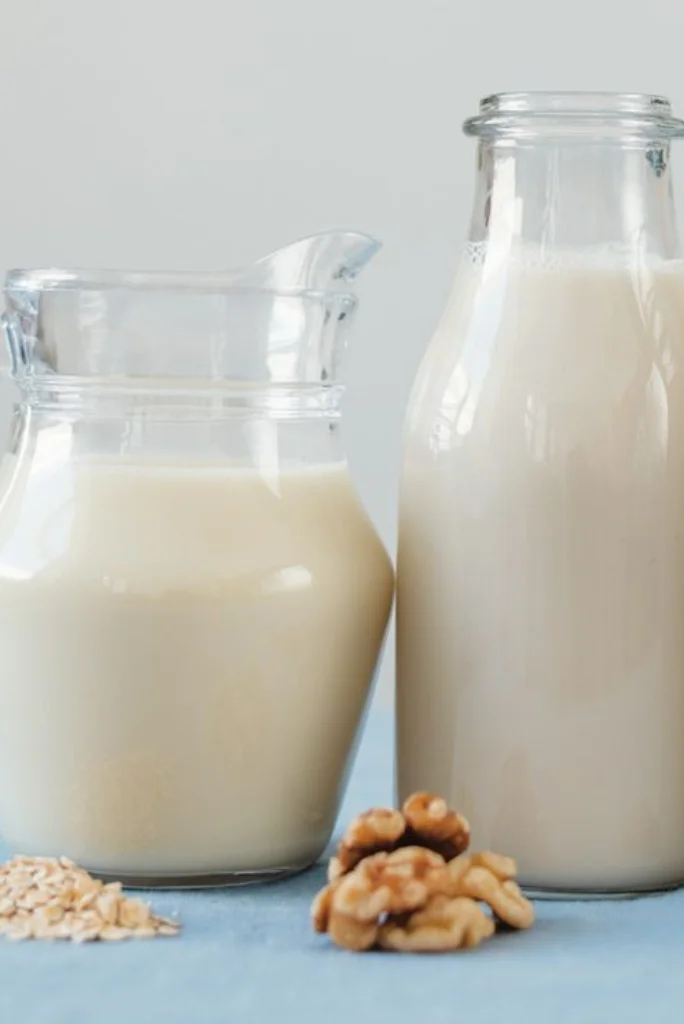 leche-vegetal-casera